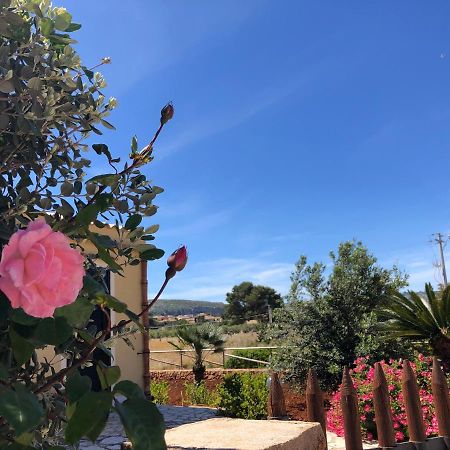La Villa Dei Girasoli Custonaci Buitenkant foto